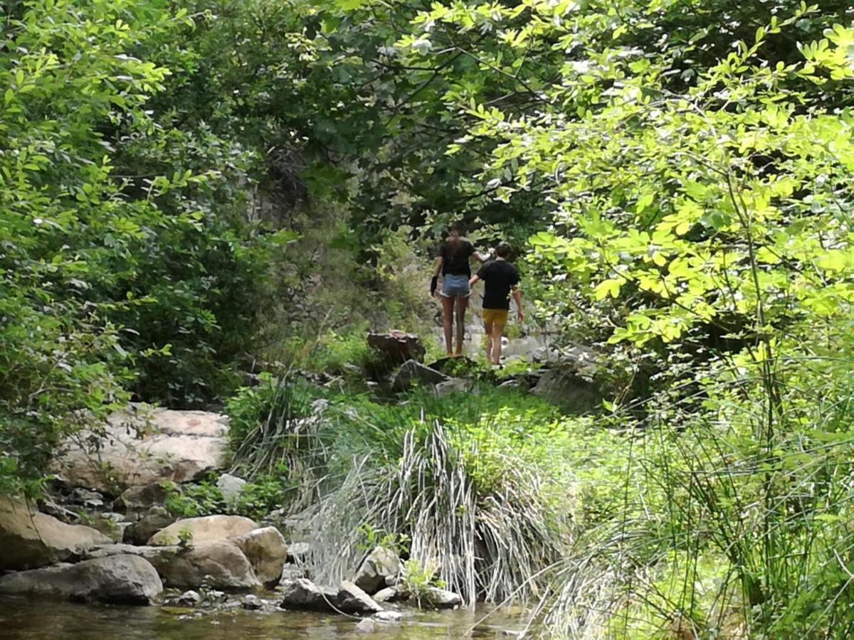 Carcassonne T3 Residentiel Rez De Jardin Piscine, Wifi, Tennis, Fitness Apartment Bagian luar foto