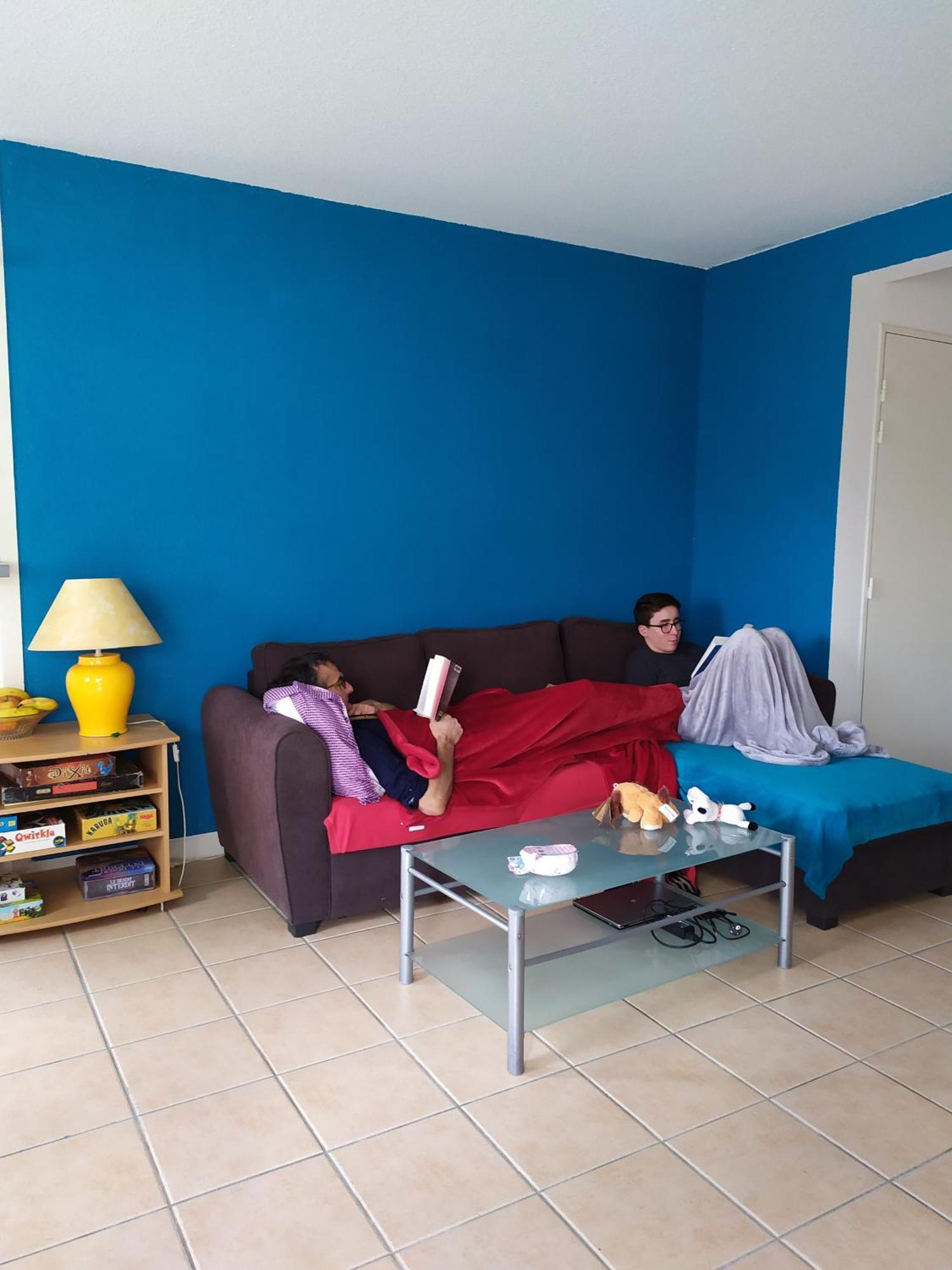 Carcassonne T3 Residentiel Rez De Jardin Piscine, Wifi, Tennis, Fitness Apartment Bagian luar foto